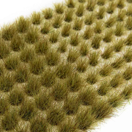 Desert Grass Tufts