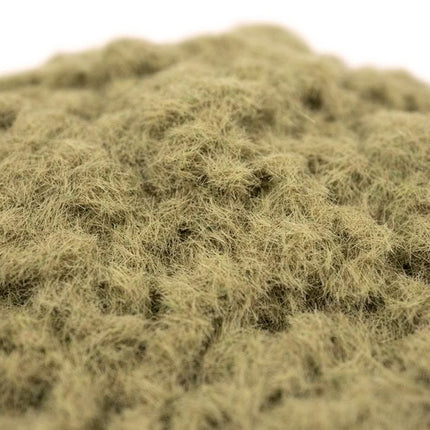 Desert Grass