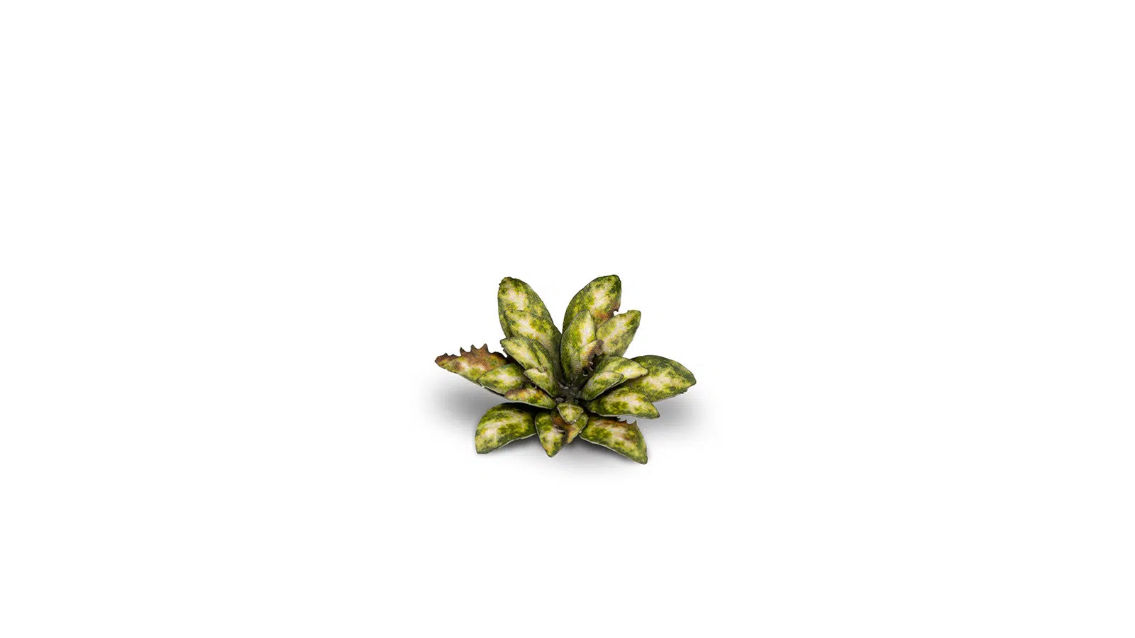 Gamers Grass Static Tuft Laser Plants - Dumb Cane
