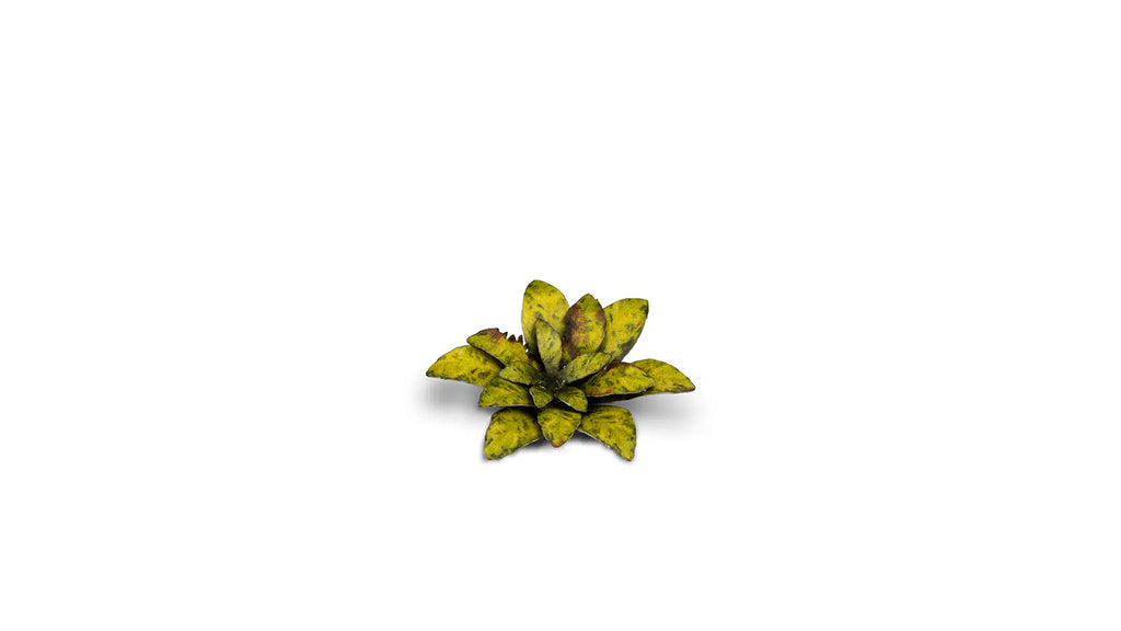 Gamers Grass Static Tuft Laser Plants - Dumb Cane