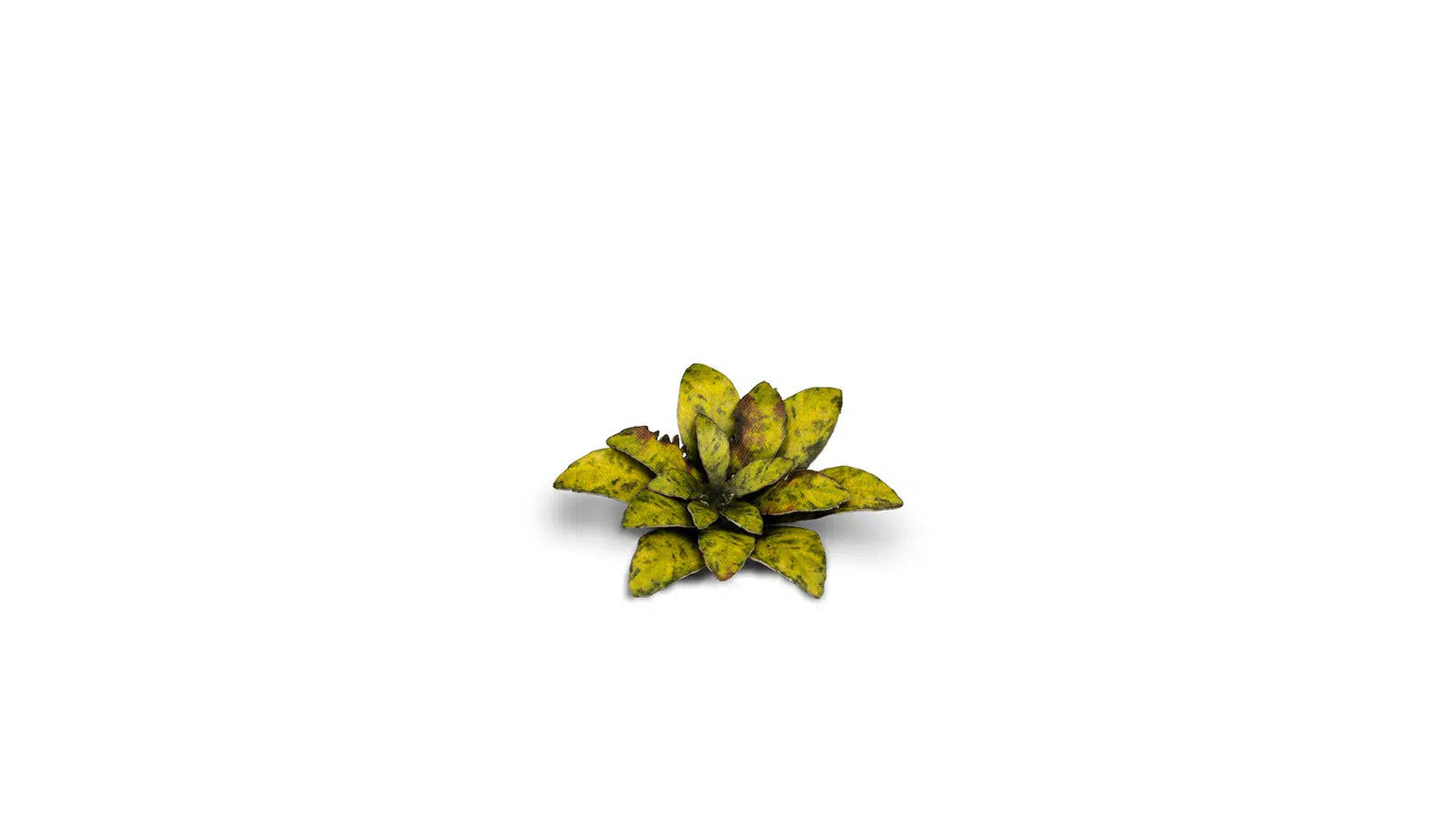 Gamers Grass Static Tuft Laser Plants - Dumb Cane
