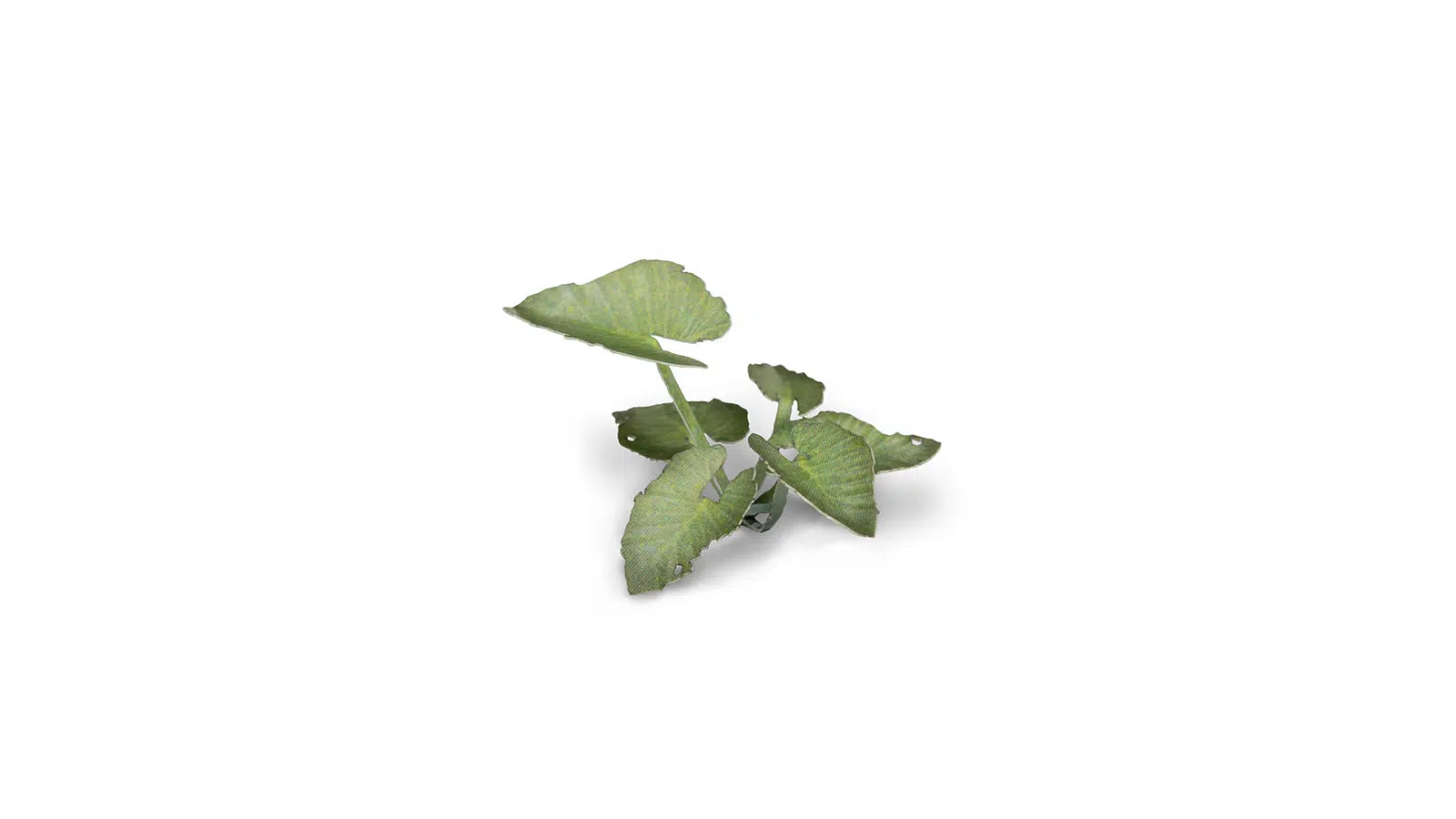 Gamers Grass Static Tuft Laser Plants - Elephant Ear