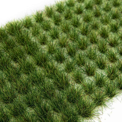 Fertile Grass Tufts