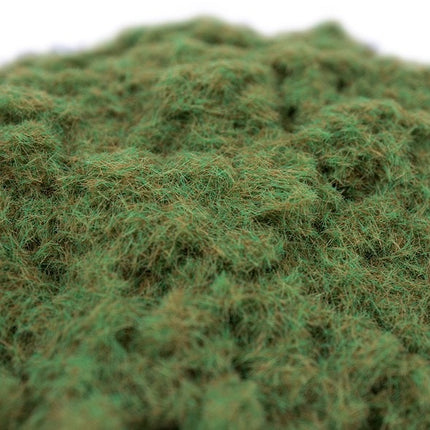Forest Floor Grass