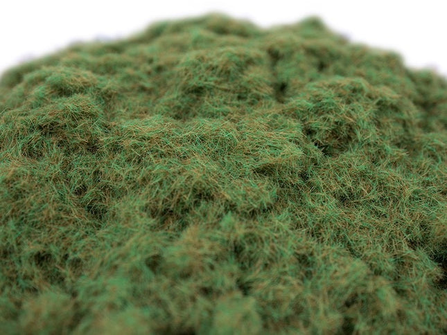 Forest Floor Grass