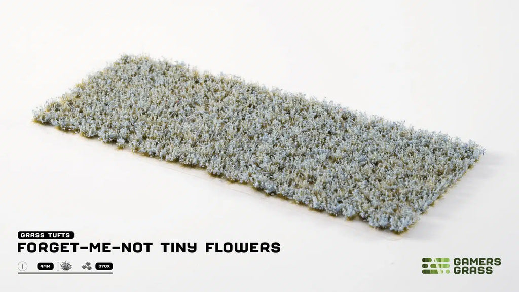 Gamers Grass Forget-me-not Tiny Flowers