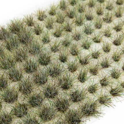 Frosty Grass Tufts