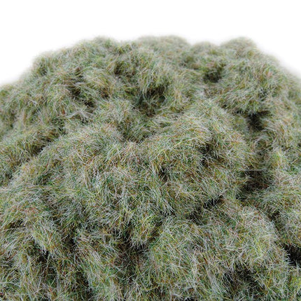 Frosty Grass