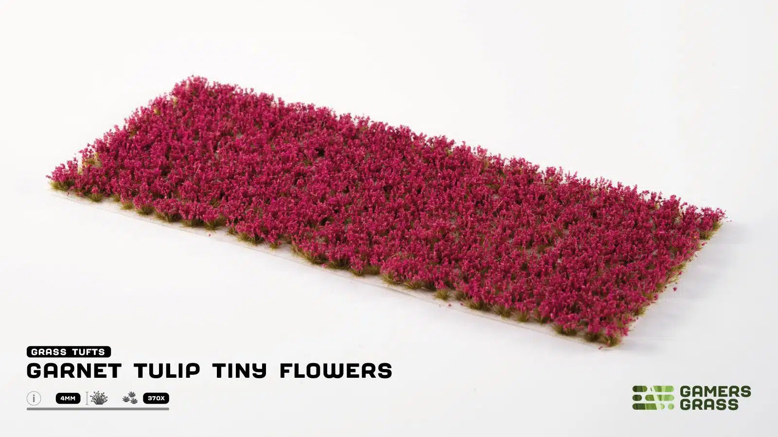 Gamers Grass Garnet Tulip Tiny Flowers