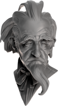 Old Man Academic Bust
