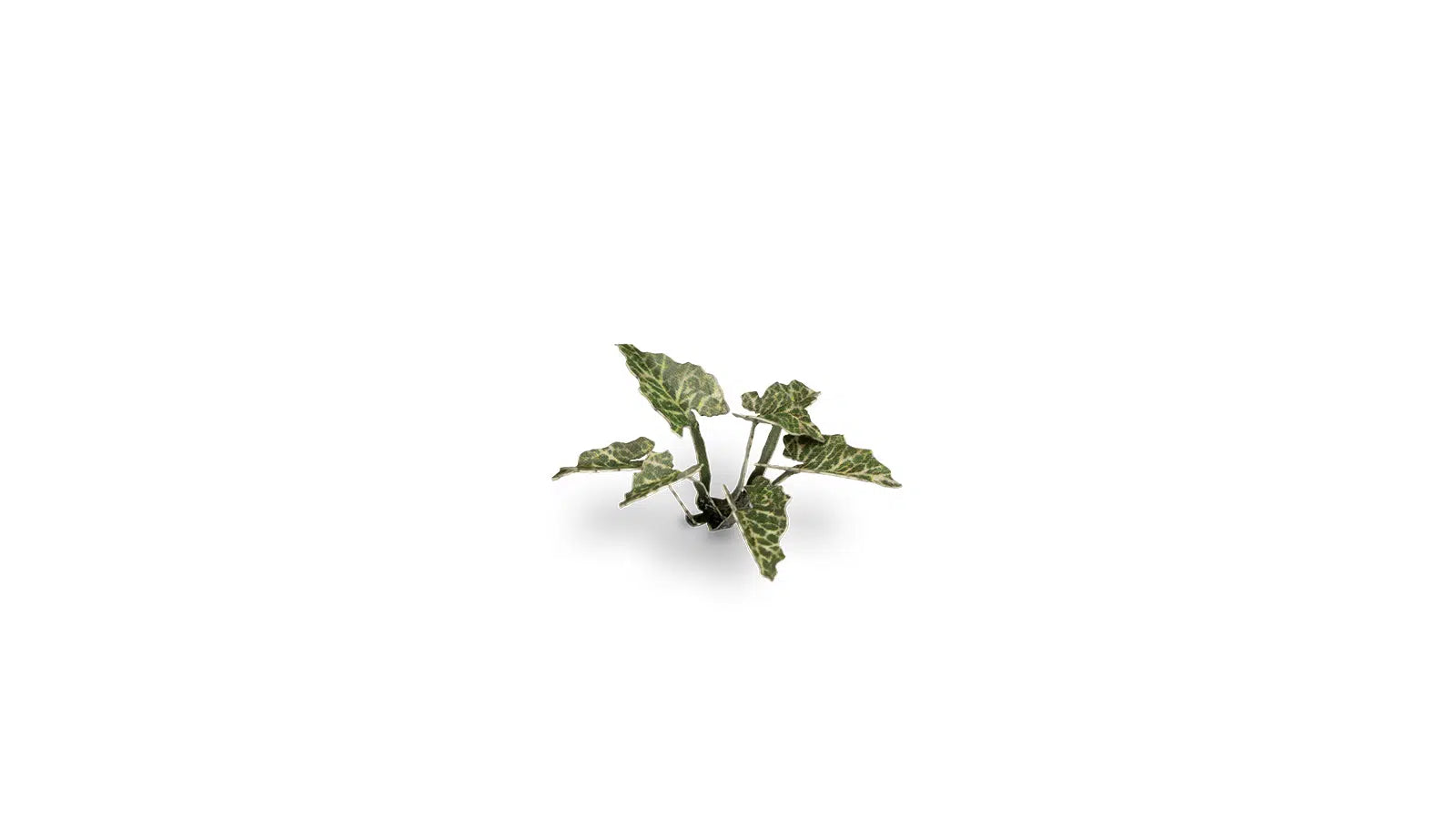 Gamers Grass Static Tuft Laser Plants - Lords-and-Ladies