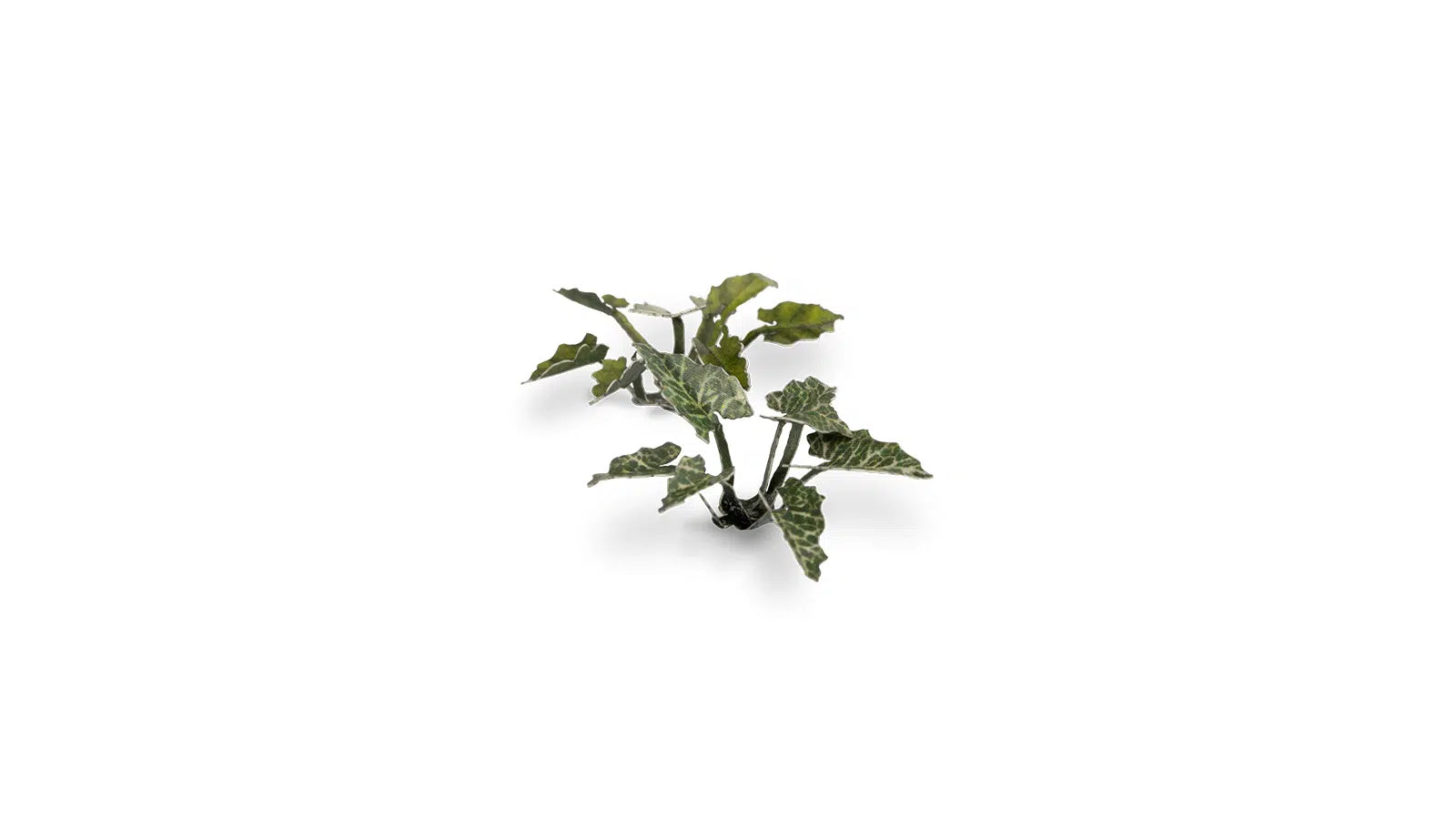 Gamers Grass Static Tuft Laser Plants - Lords-and-Ladies