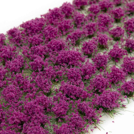 Magenta Flowers