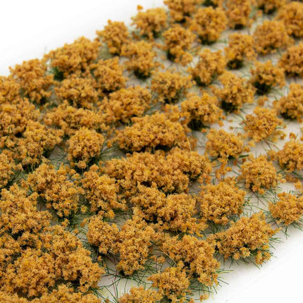 Orange Flowers