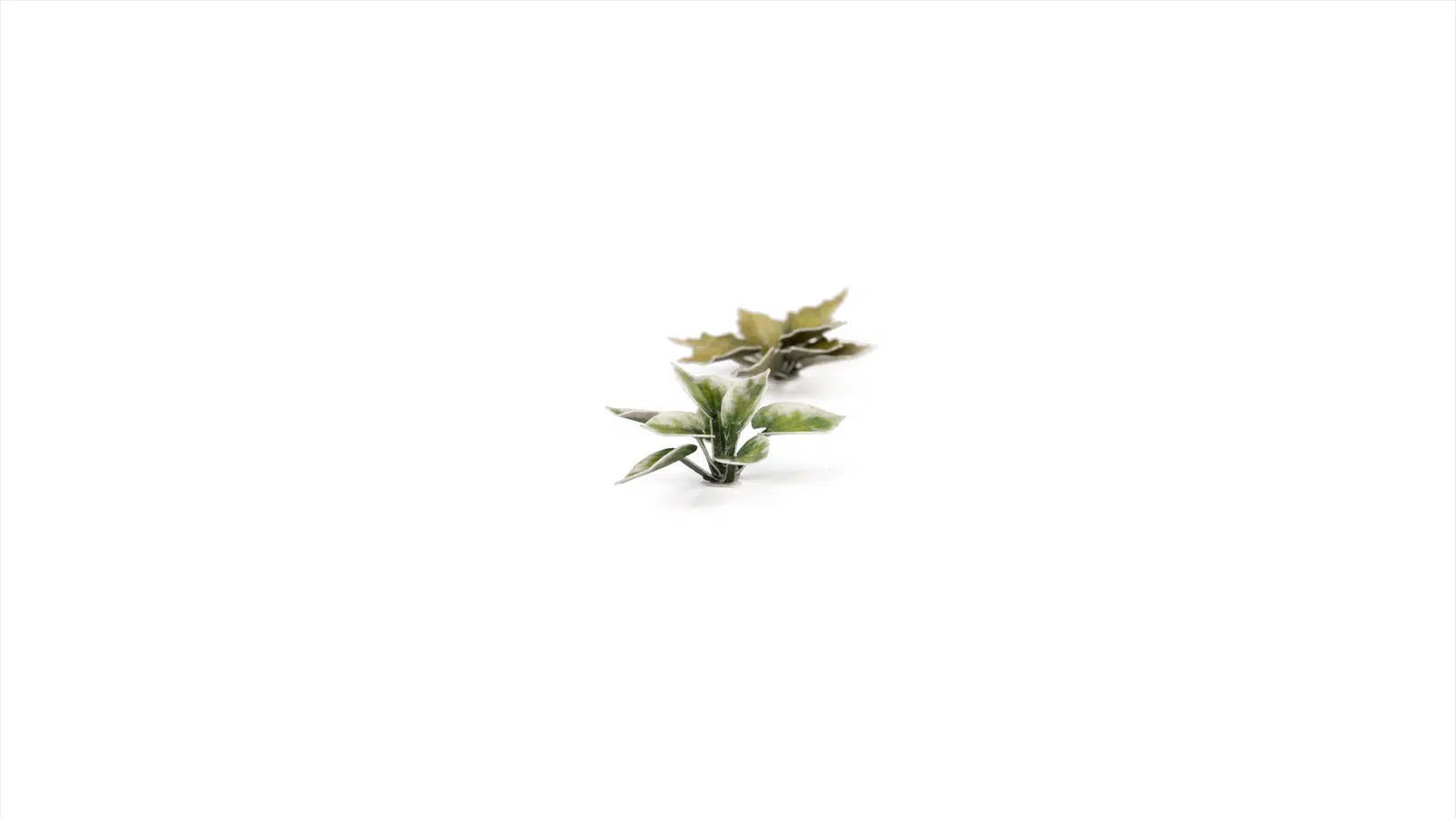 Gamers Grass Static Tuft Laser Plants - Plantain Lily