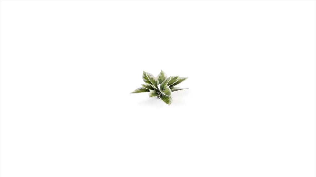 Gamers Grass Static Tuft Laser Plants - Plantain Lily