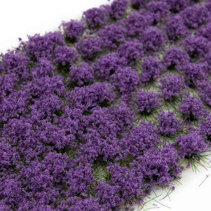 Purple Flowers