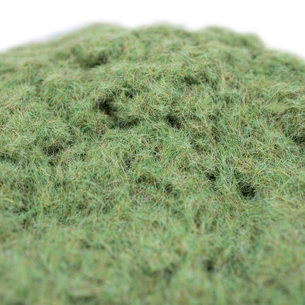 Spring Grass
