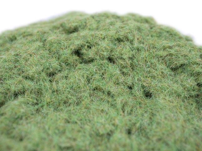 Spring Grass