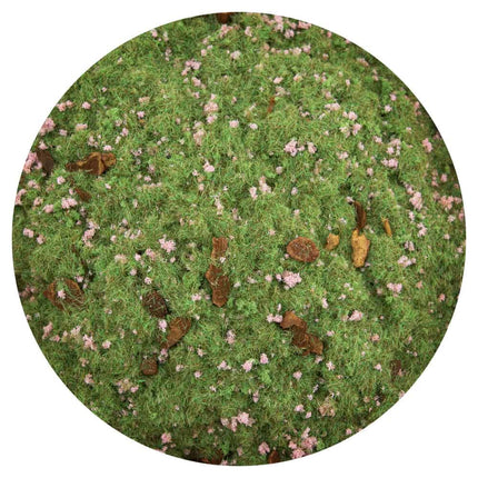 Sakura Scatter