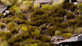 Gamers Grass Swamp 4mm Tuft - Small