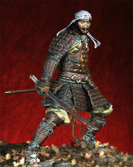 Ronin, Epoch of Tokugawa